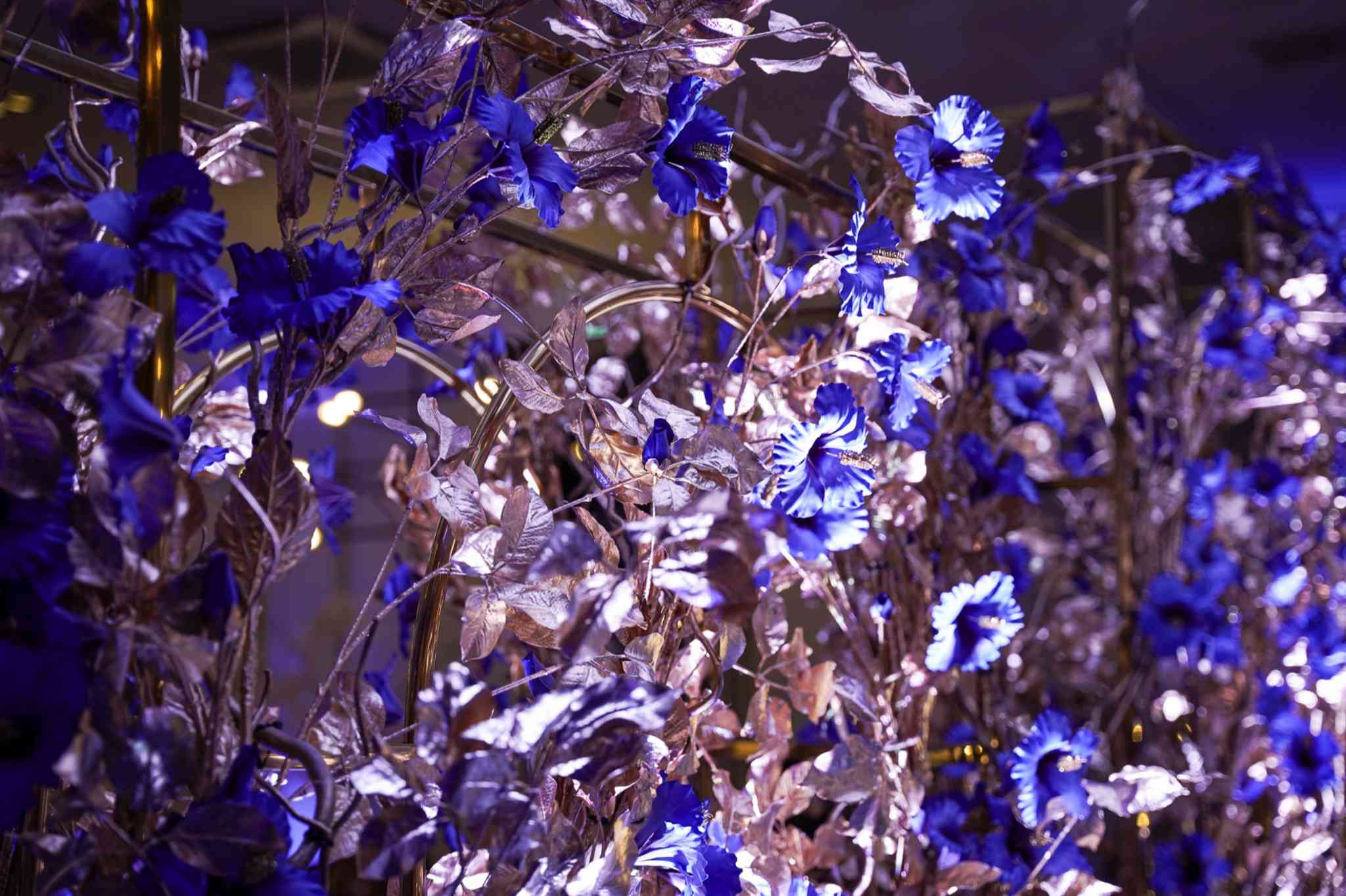 Koningsblauw Gender reveal party