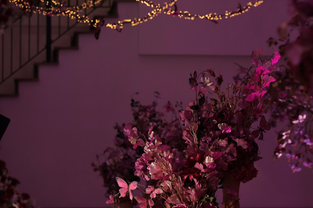 Bridgerton Geboortefeest