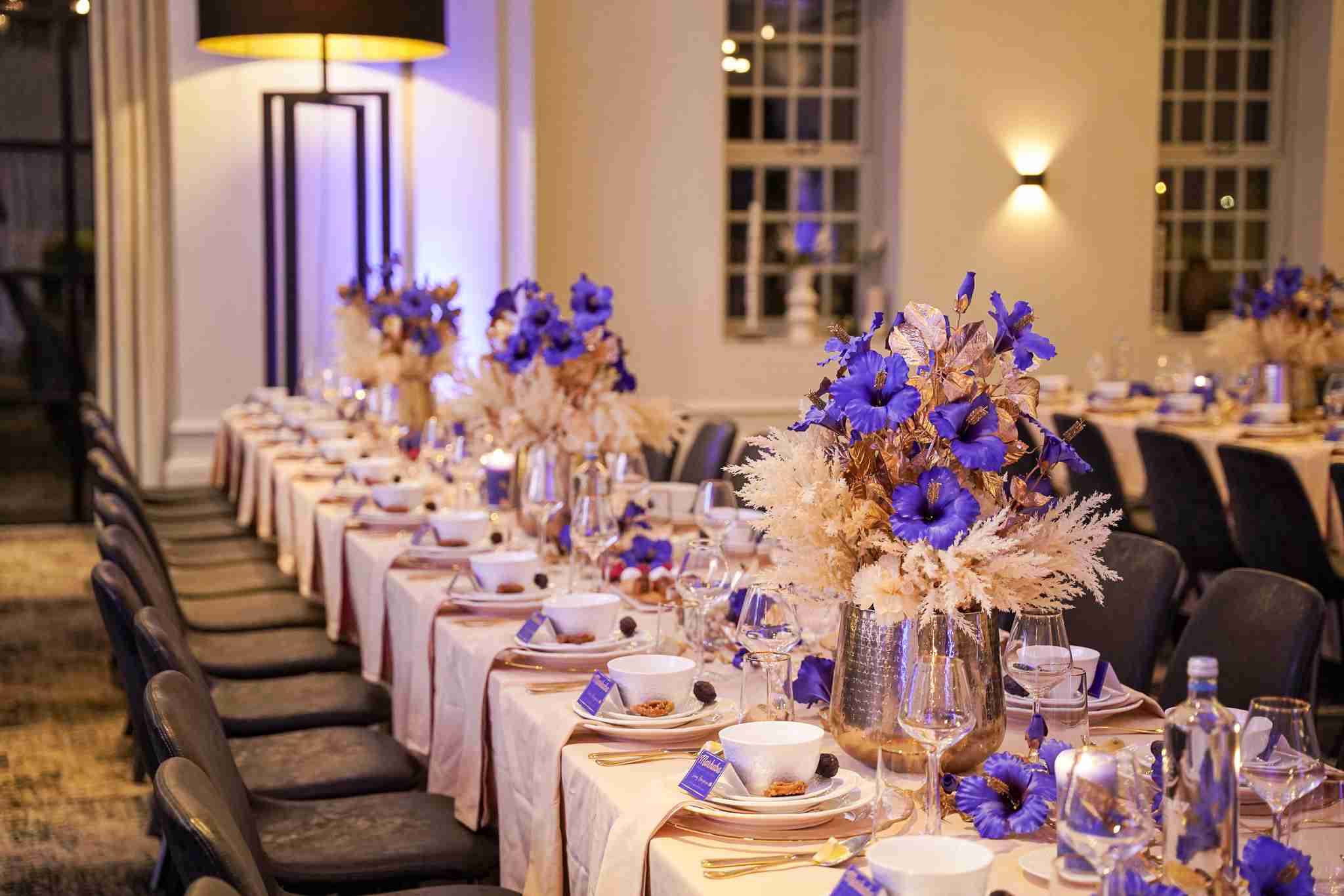 Koningsblauw Gender Reveal party