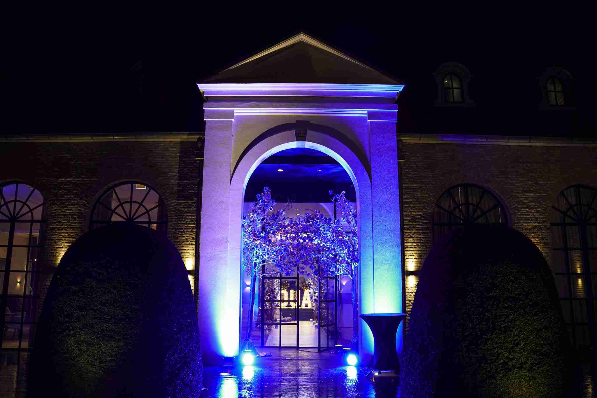 Koningsblauw Gender Reveal party