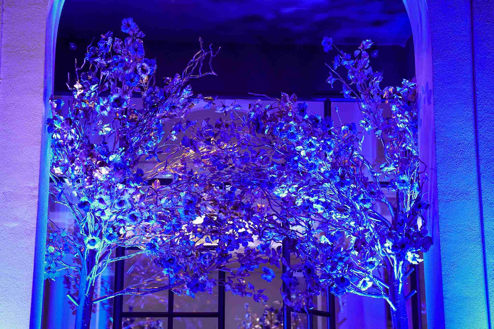 Koningsblauw Gender Reveal party