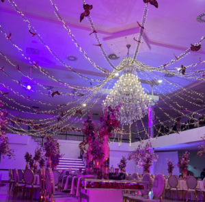 Sparkle Butterfly LED Chandelier